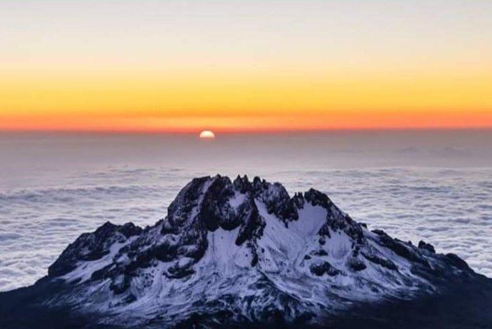 Mountain Kilimanjaro Climbing 9 Days Northern Circuit Route