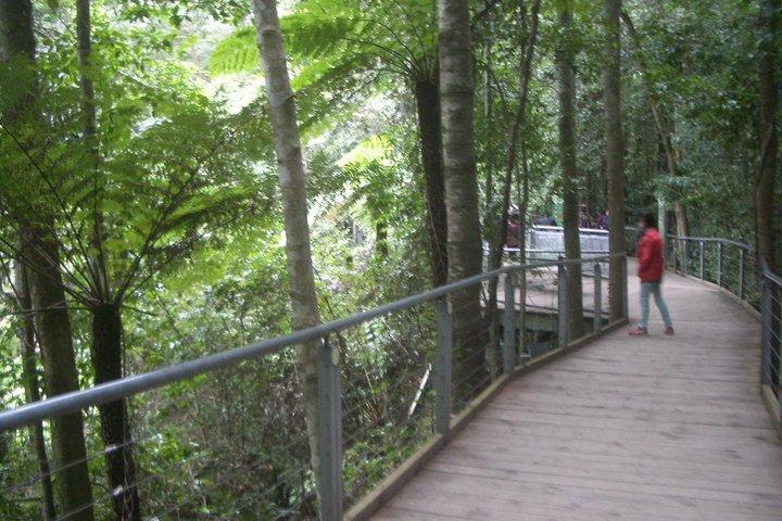 PRIVATE Blue Mountains day tour with local guide.