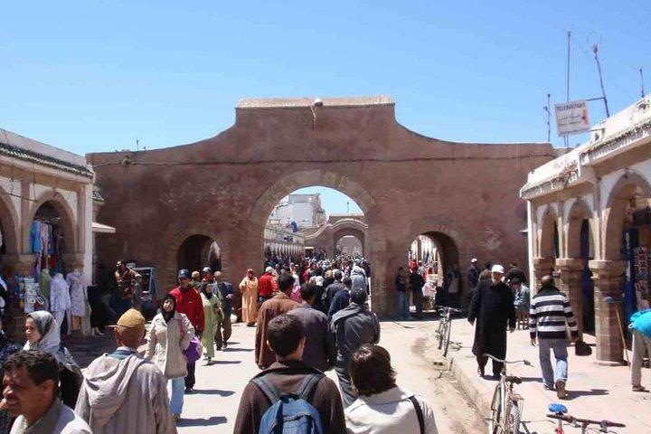 Private day tour to essaouira from Marrakech