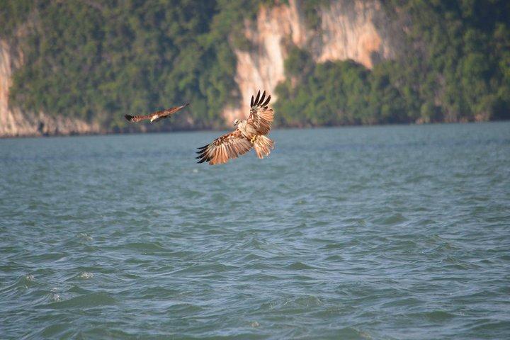 John Gray's Adventure Hong by Starlight in Phang Nga Bay
