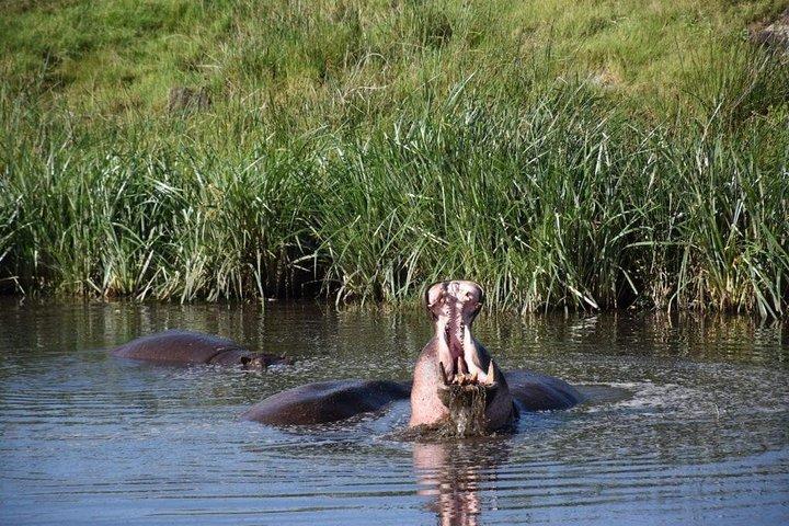 9 Days Budget Lodge Safari Tour