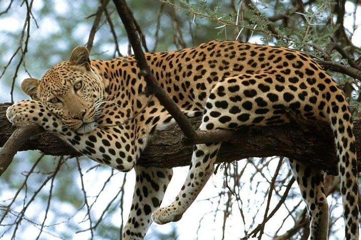 4 Day Camping Safari Arusha - Tarangire, Serengeti & Ngorongoro