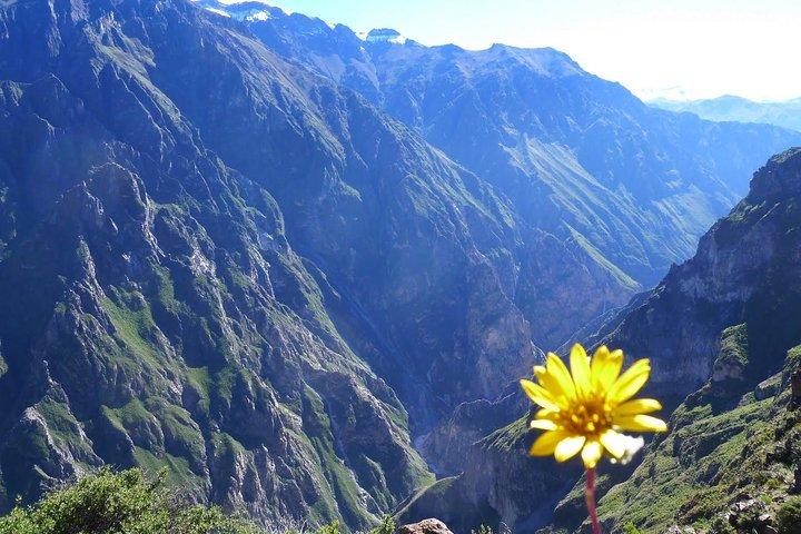 2 day 1 night trek / Colca Canyon