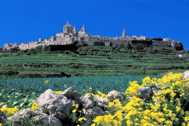 Private guided Malta tour with a professional guide and transport