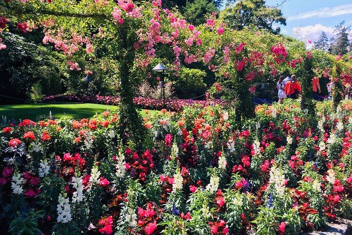 Private Deluxe Tour of Victoria & to Butchart Gardens (5 hrs)