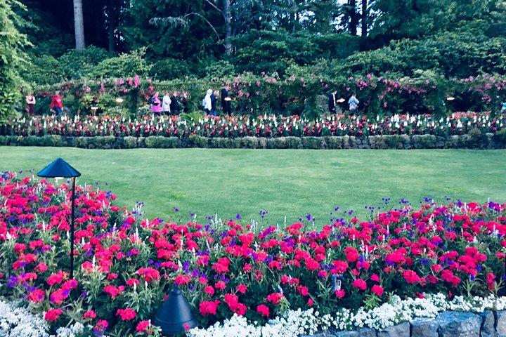 Private Deluxe Tour of Victoria & to Butchart Gardens (5 hrs)