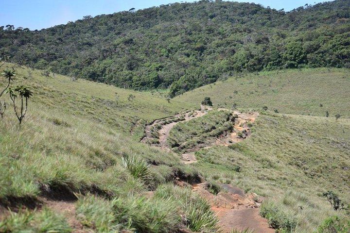Horton Plains National Park Entrance Ticket with Guide