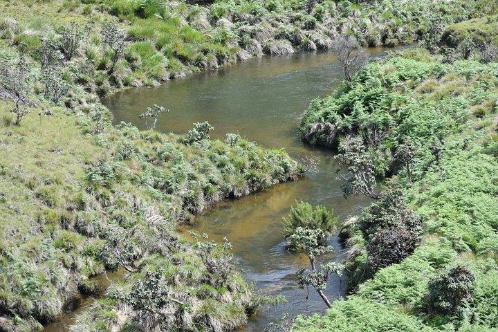 Horton Plains National Park Entrance Ticket with Guide