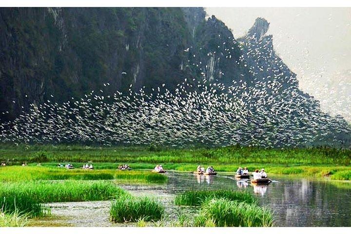 Ninh Binh – Van Long Wetland Reserve 2 Days 1 Night