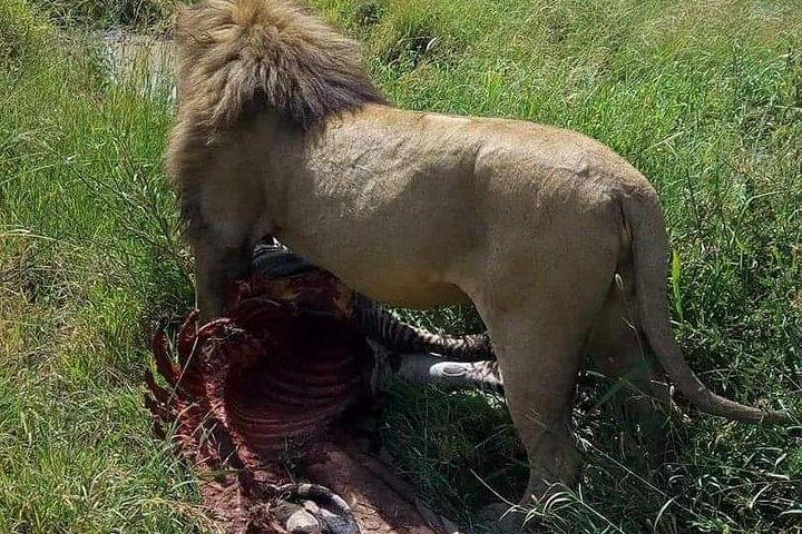 9 Days Budget Lodge Safari Tour