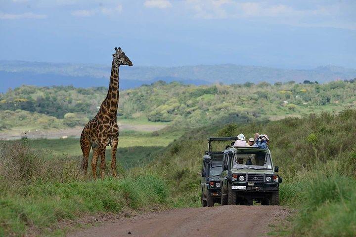 6 Days Tanzania Luxury Safari Tour