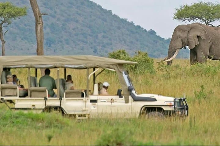 Cape Town 2-Days Aquila Safari Overnight & Robben Island Getaway