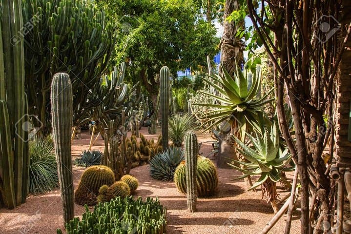 Enjoy Paradise valley trip with guide ®