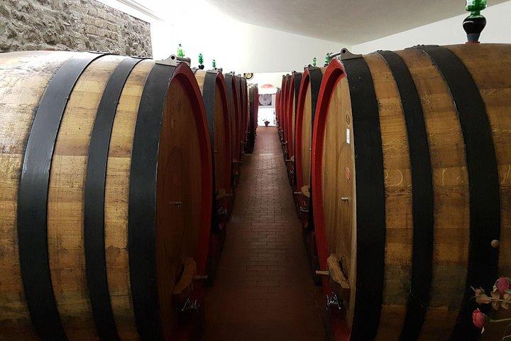 Montepulciano and Pienza: Private Wine Tour from Rome