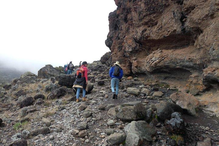 Mt. Kilimanjaro Day Hiking