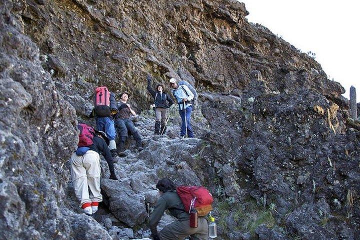 7 Days Machame Route Climb