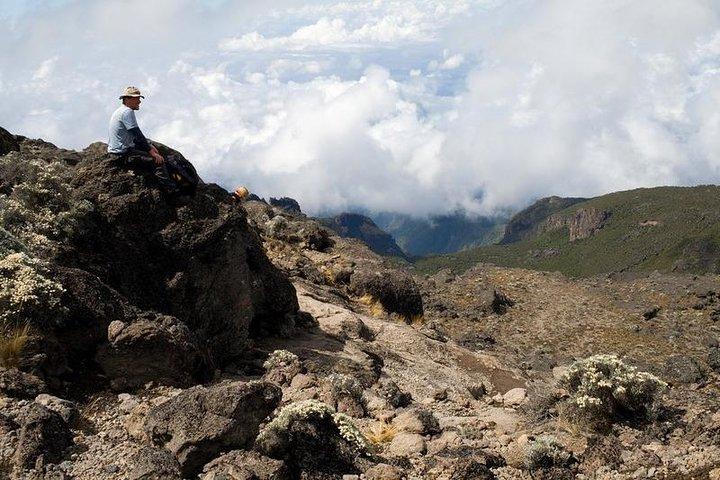 7 Days Machame Route Climb
