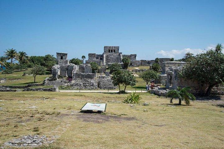 Tulum and Turtles Experience
