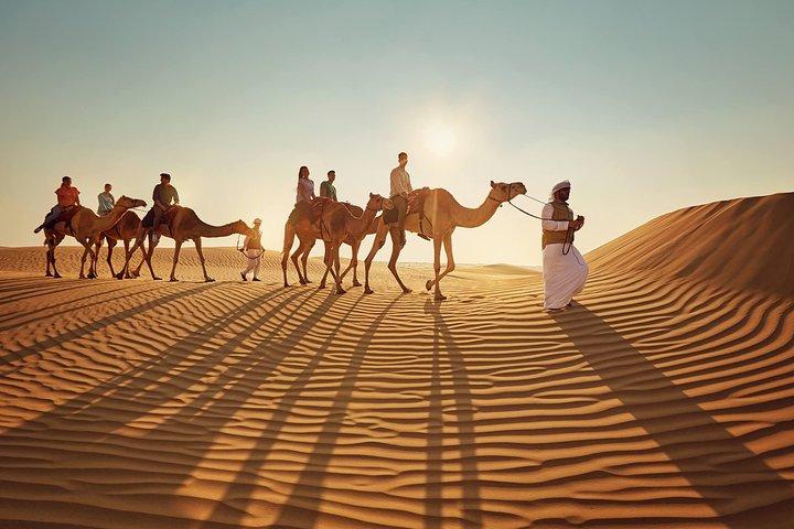Evening Desert Safari Abu Dhabi