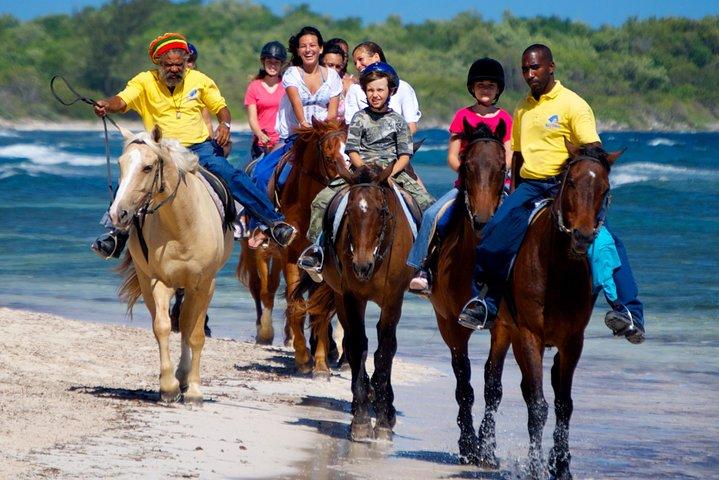 Jamaica Zipline and Horseback Ride n Swim Adventure Tour from Runaway Bay