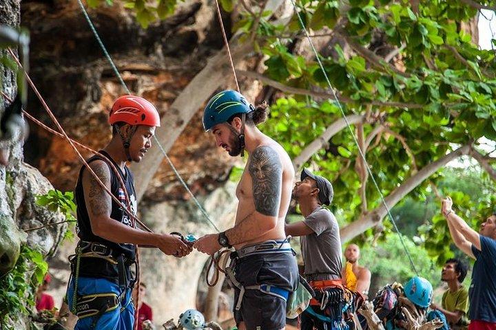 Beginner's Half-Day Rock Climbing Tours at Railay Beach Krabi