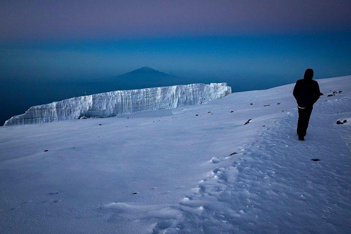 8-Day Private Kilimanjaro Climb via Lemosho Route from Arusha