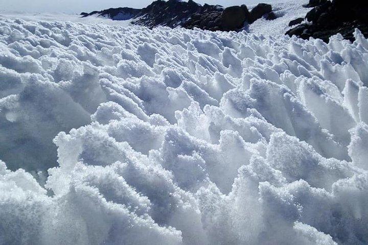 8-Day Private Kilimanjaro Climb via Lemosho Route from Arusha