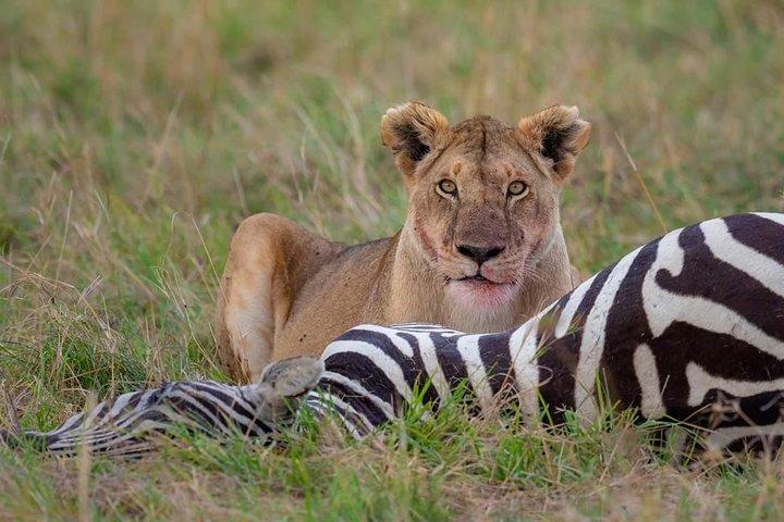 2 Days Joined Group Tarangire and Ngorongoro Crater National Park