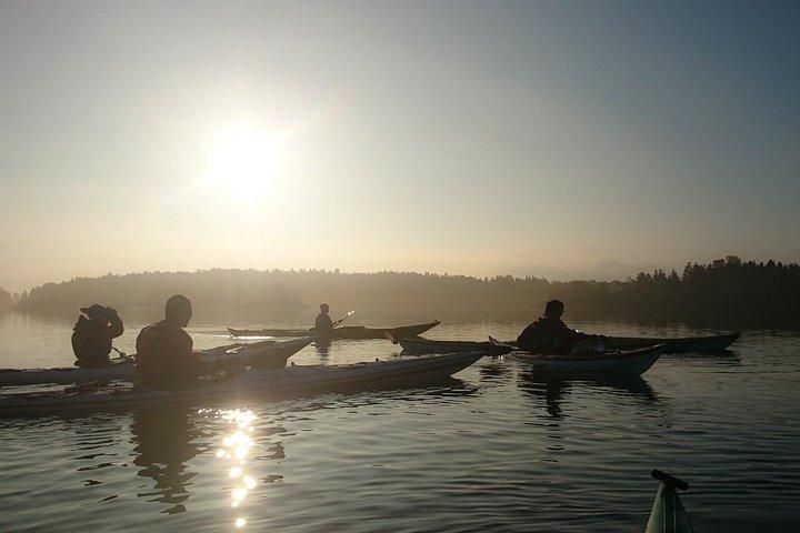 Archipelago Sea Kayaking Day, Mondays