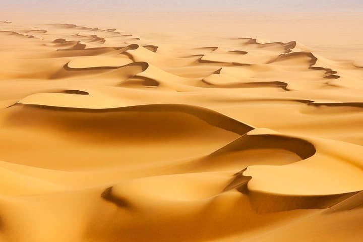 Morning Desert Safari with Camel Ride and Sandboarding
