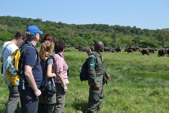 6 Days Tanzania Luxury Safari Tour