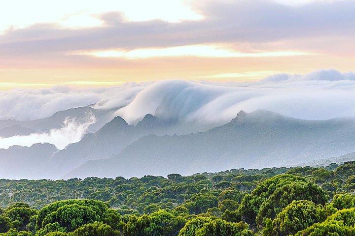 Mount Kilimanjaro via Umbwe Route 6 days Climb