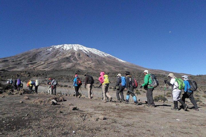 Kilimanjaro Rongai Route 7 Days