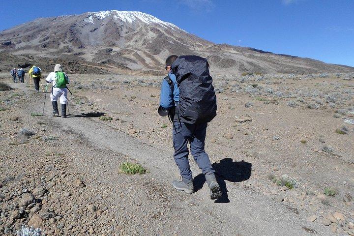 Kilimanjaro Rongai Route 7 Days
