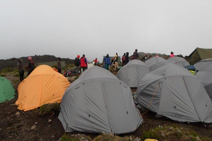 Kilimanjaro Rongai Route 7 Days