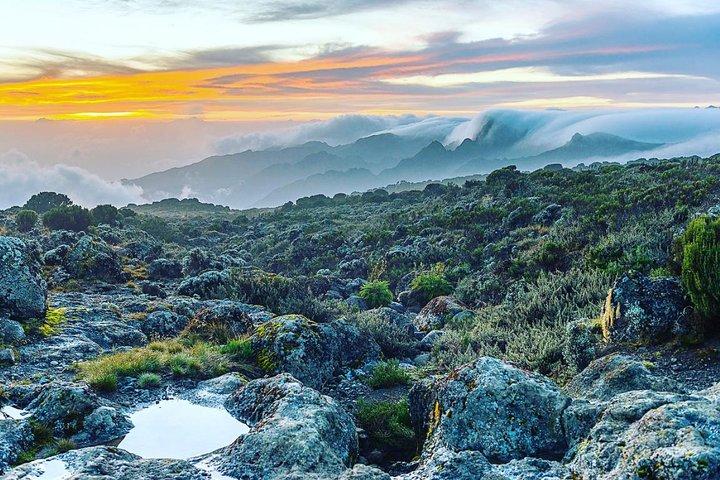 Mountain Kilimanjaro Climbing 7 Days Lemosho Route