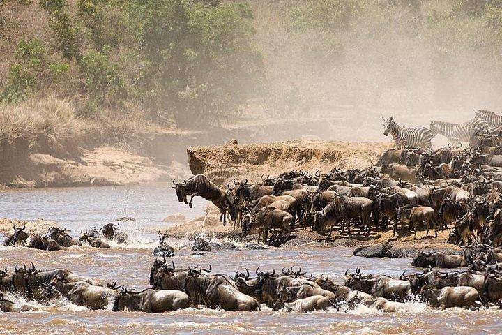 4 Days Luxury Lodge Safari Tour Tanzania