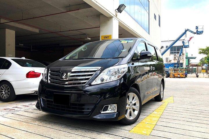 Hong Kong Private Transfer: Hong Kong Disneyland to Hotel