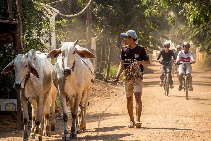 Phnom Penh: Cycling Adventure on Islands of the Mekong