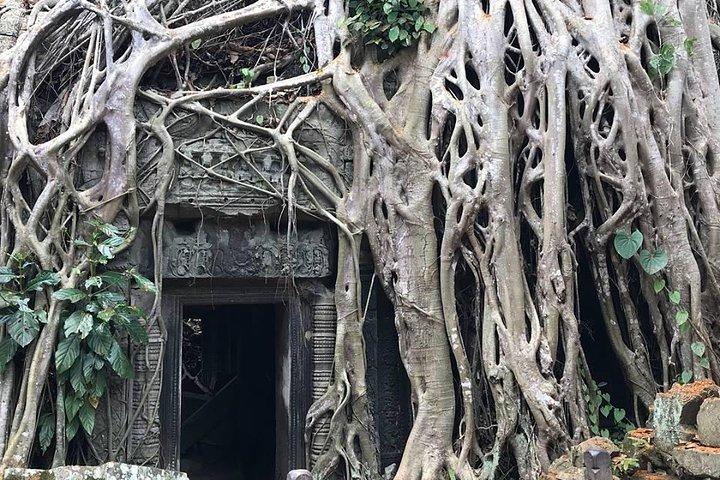 Private Car & English Speaking Guide (2days Angkor Temple Tour)