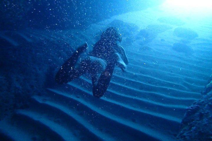 Private speedboat tour- Blue Cave/Green Caves/sandy beach