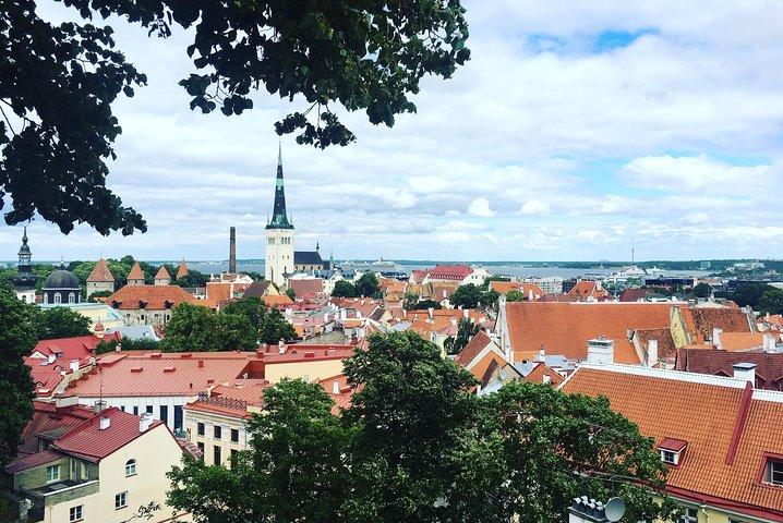 Tallinn Day Tour from Helsinki (Ferry Tickets+ Guiding+ Own Time)