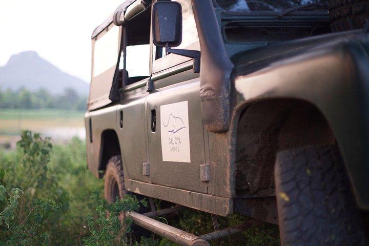 Afternoon Safari to Gal Oya National Park