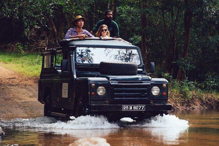 Afternoon Safari to Gal Oya National Park