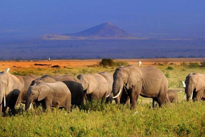 10 Days Maasai Mara photographer safari