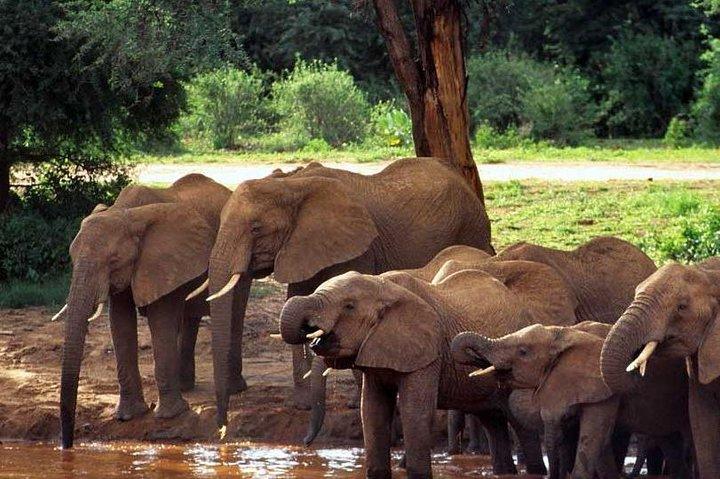 10 Days Maasai Mara photographer safari