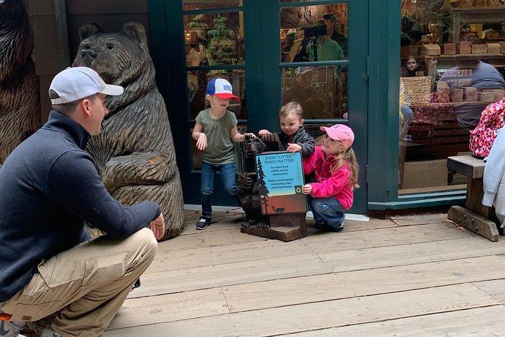 Amazing Muir Woods and Sausalito Tour