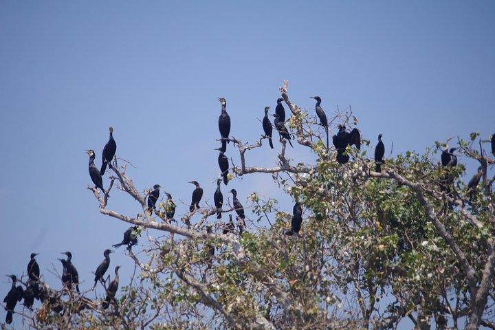 One Day Private Guide Tour to Prek Toal Biosphere - All Inclusive
