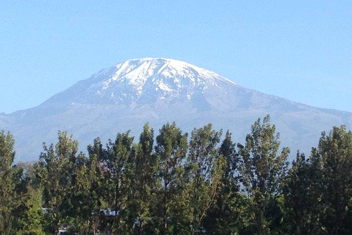 8-Day Kilimanjaro Adventure-Lemosho Route