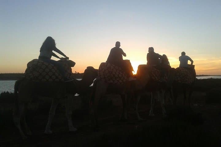 Agadir Camel Riding +Sunset and Dinner( barbecue)